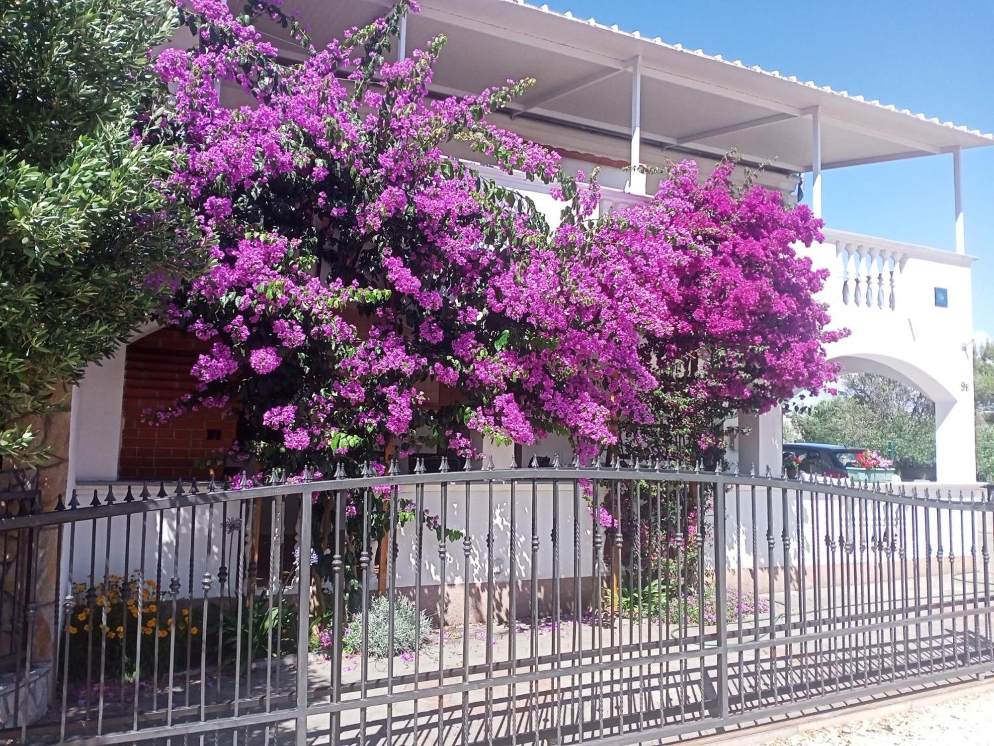 Apartment Drage 17392A Pakostane Exterior photo